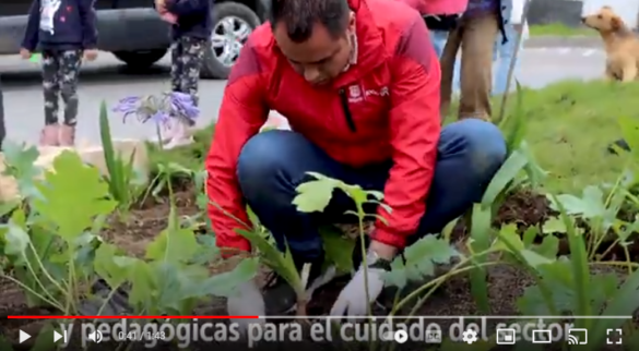 PORTADA VIDEO PROCEDAS