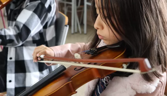 VIOLINISTA